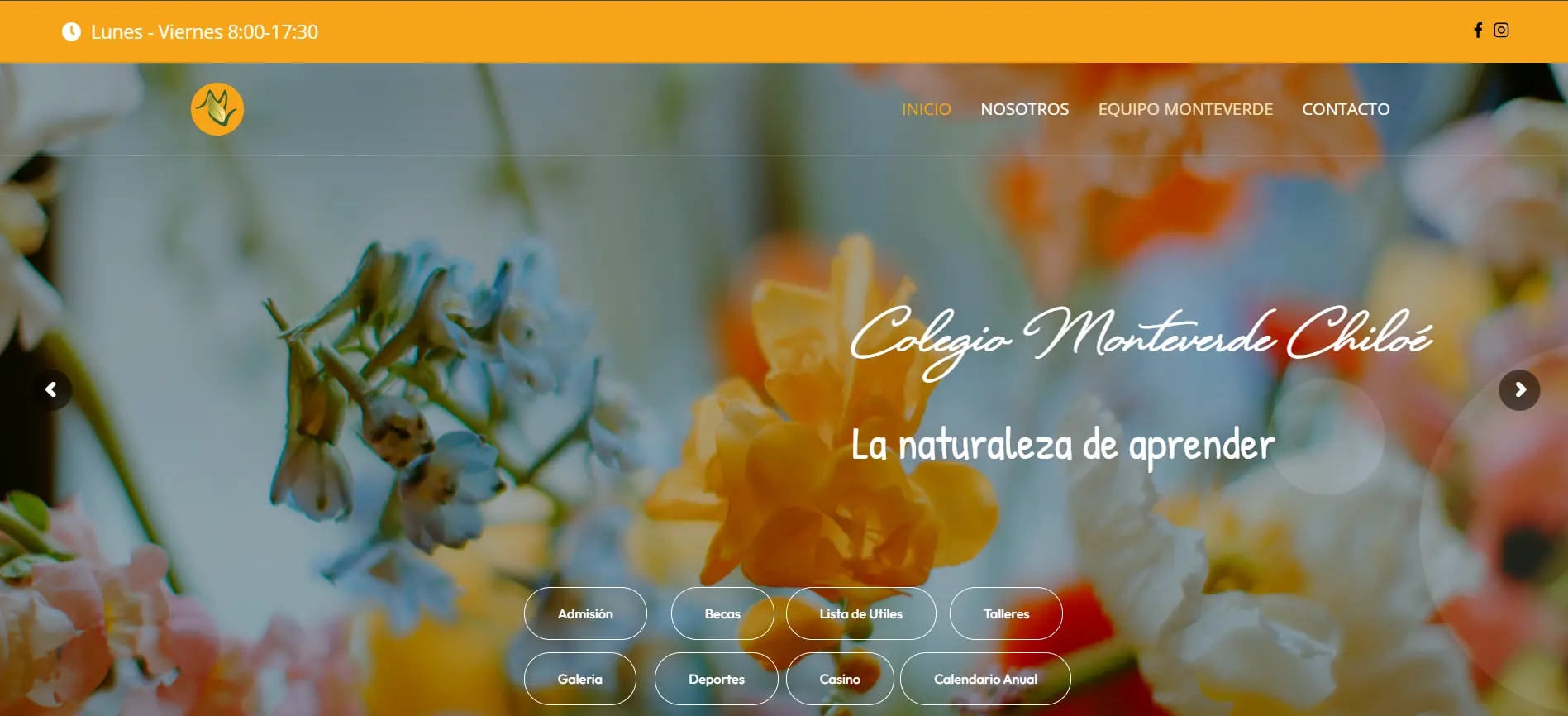 Colegio Monte Verde Chiloe - Imagen 1