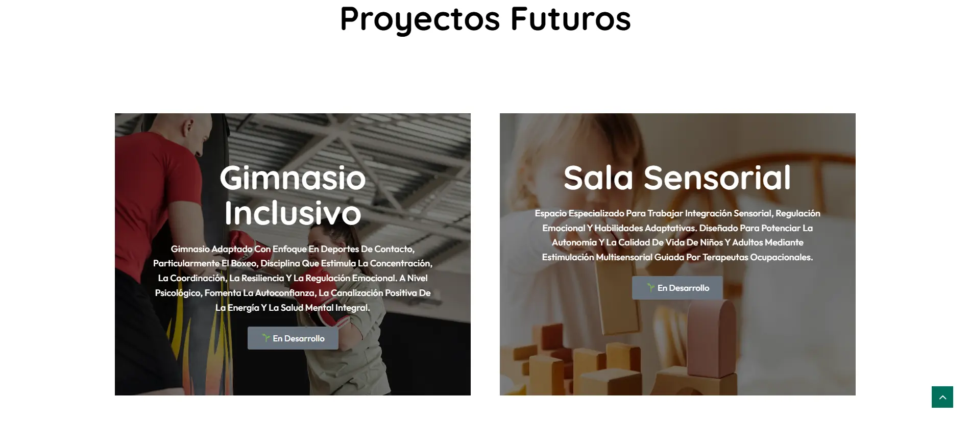 Fundación Priming Vital - Imagen 4